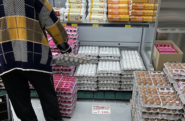 지난 2021년 1월 조류독감 등으로 계란값이 폭등하자 한국농수산식품유통공사가 미국산 대형란 100만800개를 수입해 판매했었다. 사진은 지난 21년 3월 경기도 하남시 소재 한 식자재 마트에서 미국산 대형란을 판매하고 있는 모습. 사진=정태권 기자 mana@