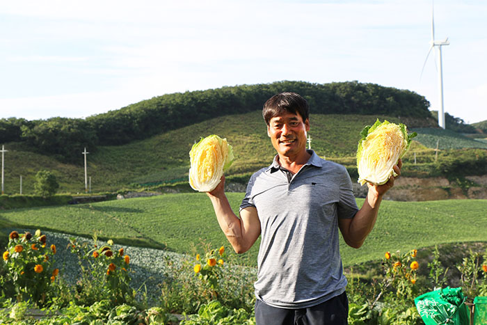 강릉 안반데기 마을에서 계약재배한 황금배추를 들고 활짝 웃고 있는 농민 모습 .
